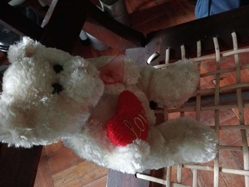 VINTAGE LOVE TEDDY