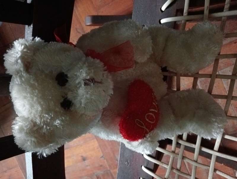 VINTAGE LOVE TEDDY