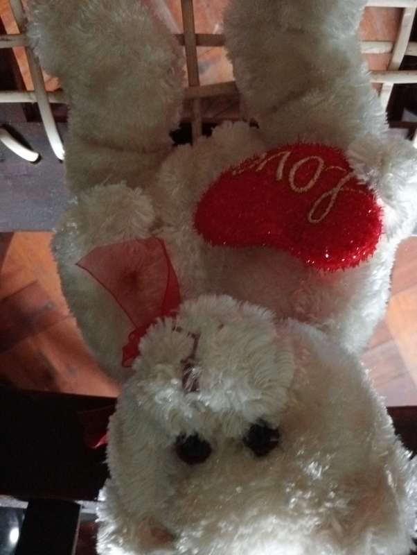 VINTAGE LOVE TEDDY