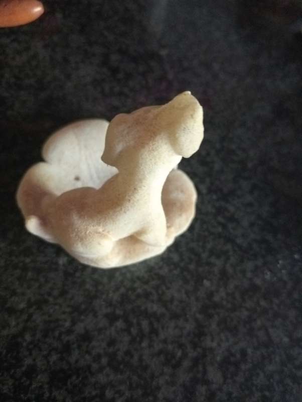 VINTAGE SMALL WHITE PUPPY  DOG ORNAMENT
