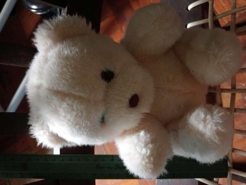 VINTAGE SMALL TEDDY BEAR