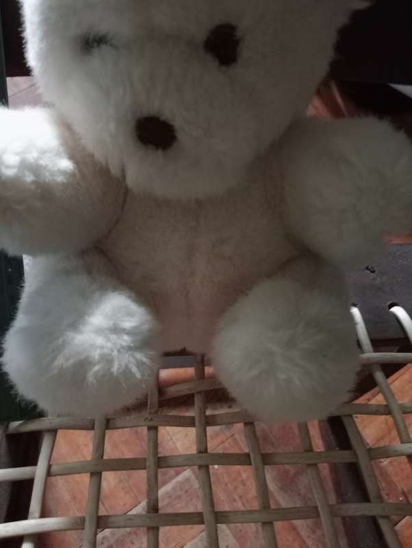 VINTAGE SMALL TEDDY BEAR