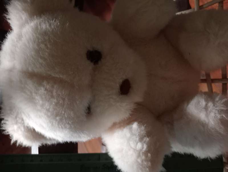 VINTAGE SMALL TEDDY BEAR