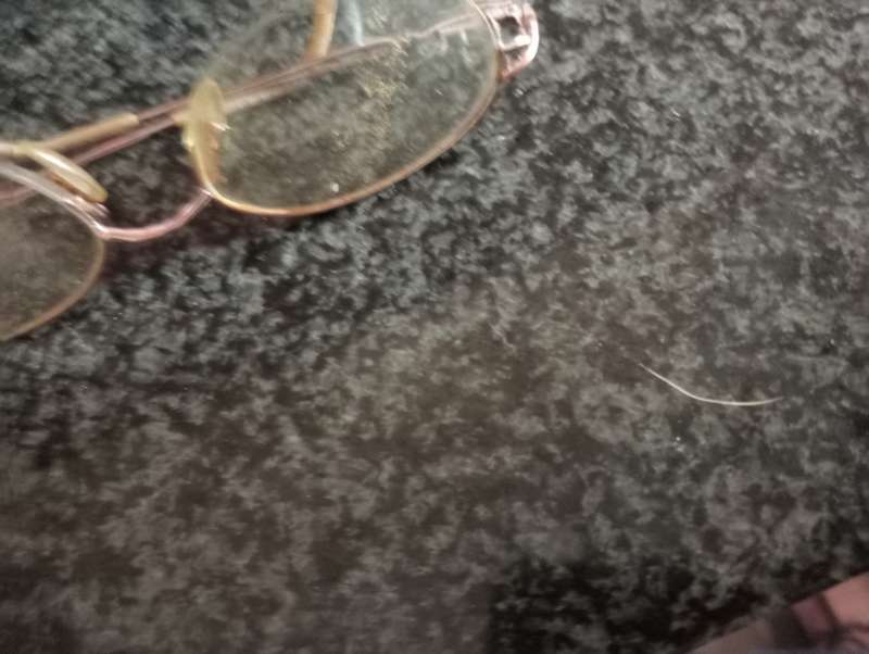 VINTAGE SPECTACLES  IN CASE