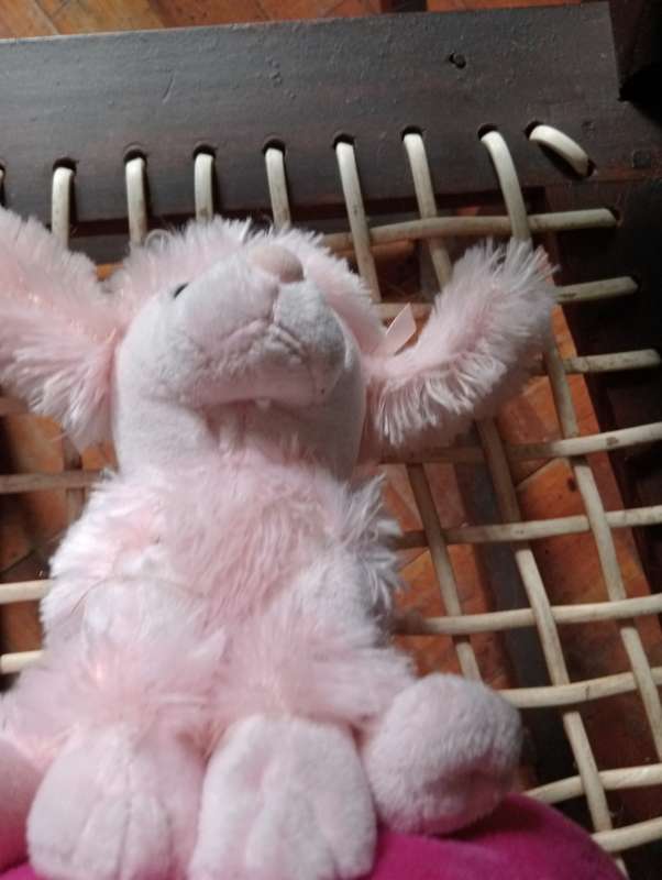 VINTAGE STUFFED DOG ON CUSHION