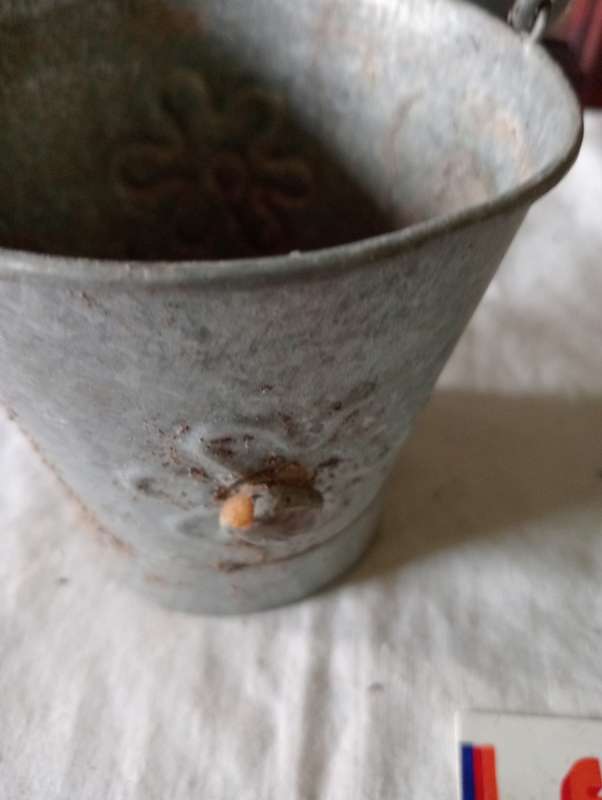 VINTAGE PLANT BUCKET WITH HANDLE