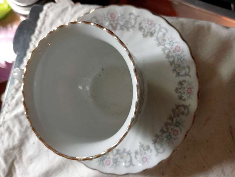 Vintage collectable cup and saucer