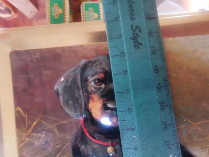 COLLECTABLE DOG TIN