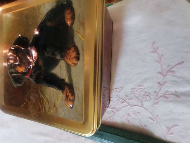 COLLECTABLE DOG TIN