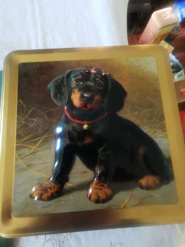 COLLECTABLE DOG TIN