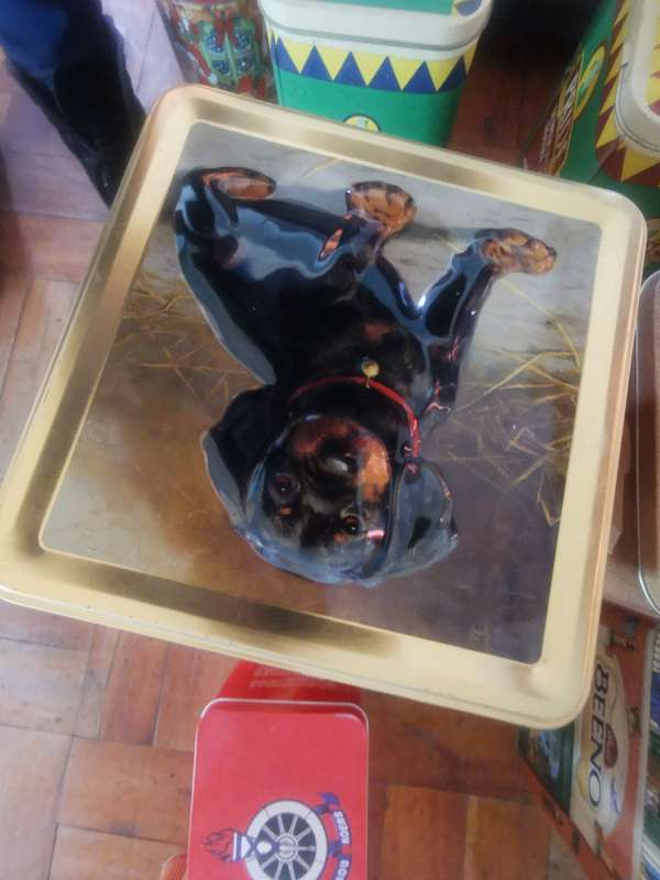 COLLECTABLE DOG TIN