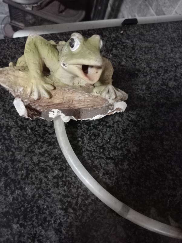 VINTAGE FROG FOR WATER FUTURE