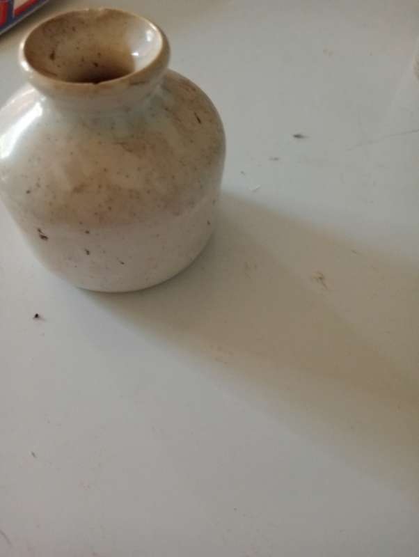 ANTIQUE LOXTON ANTISEPTIC TOOTHPASTE HOLDER