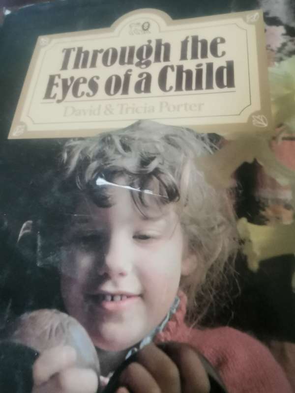 BOOK THROUGH THE EYES OF A CHILD
