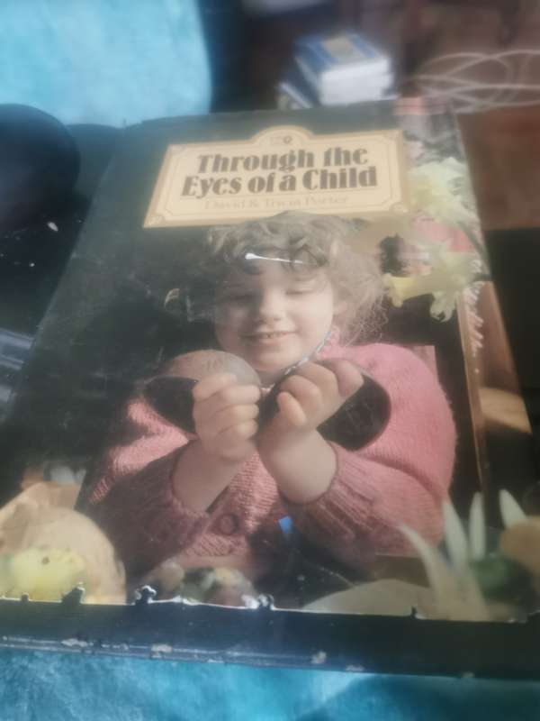 BOOK THROUGH THE EYES OF A CHILD