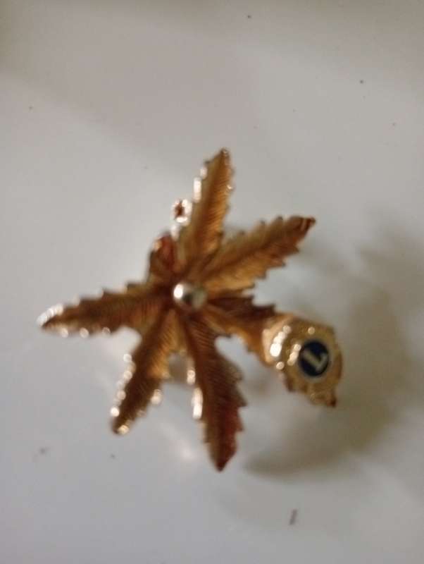 VINTAGE BROOCH 4