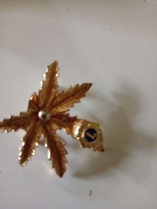 VINTAGE BROOCH 4