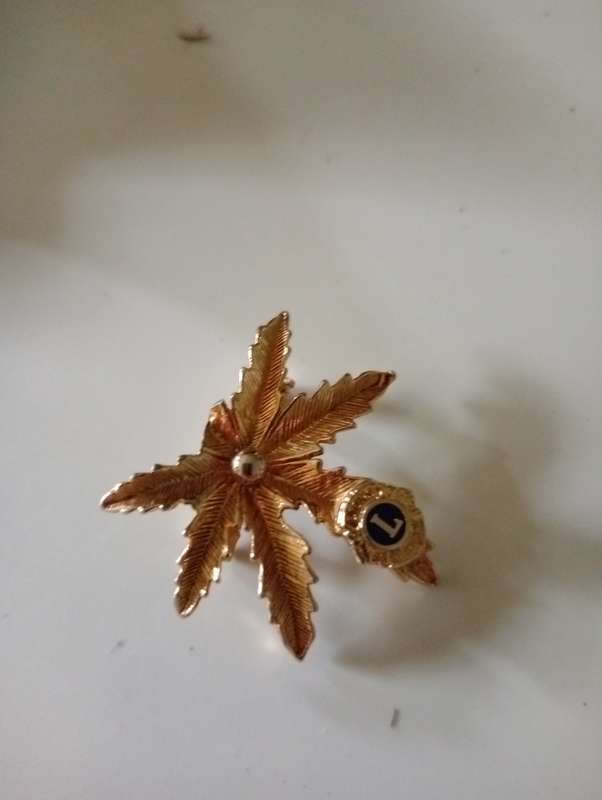 VINTAGE BROOCH 4