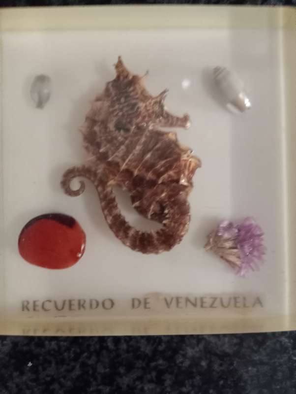 VINTAGE VENEZUELA SOUVENIER IN GLASS