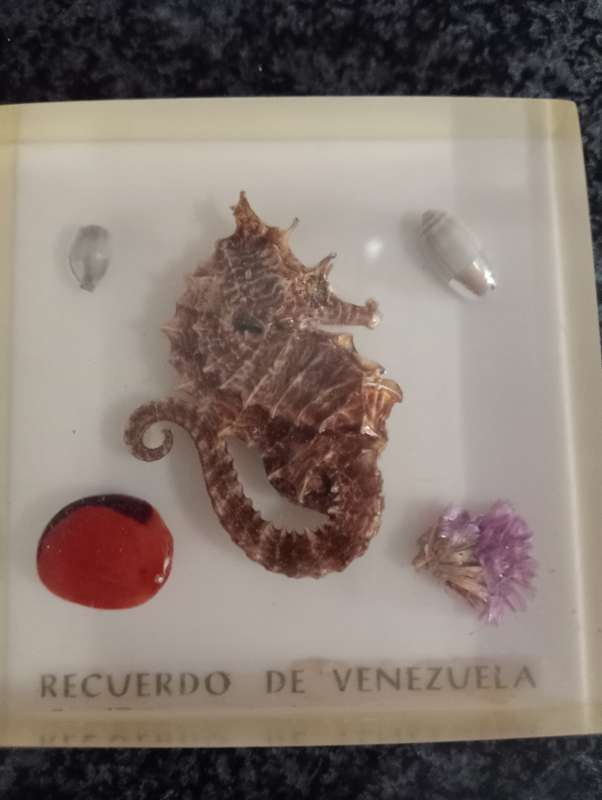 VINTAGE VENEZUELA SOUVENIER IN GLASS
