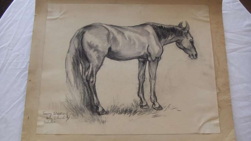 An original pencil sketch by international artist Hedwig Brecher Eibuschitz " horse study "