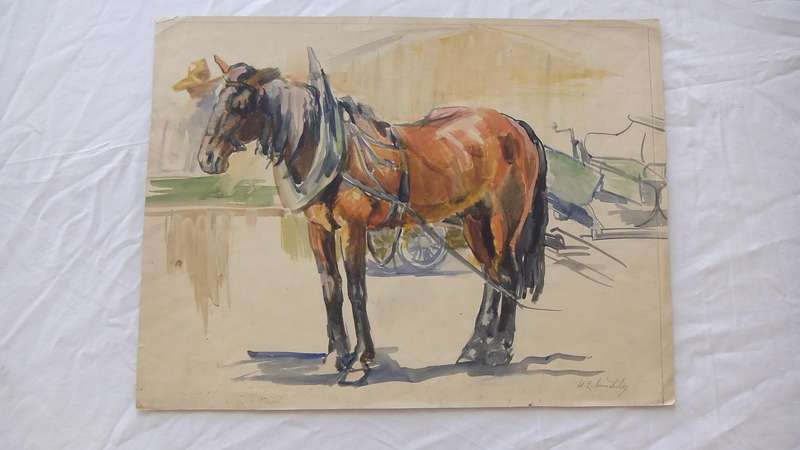 An original watercolour painting by international artist Hedwig Brecher Eibuschitz " horse study "