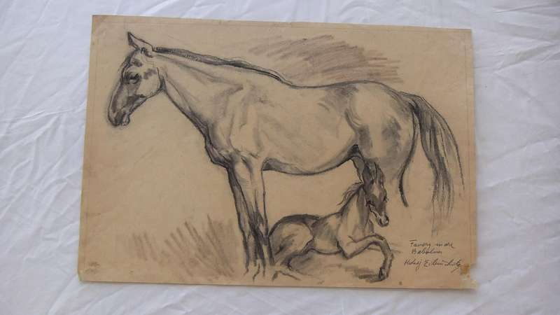 An original pencil sketch by international artist Hedwig Brecher Eibuschitz " horse study "