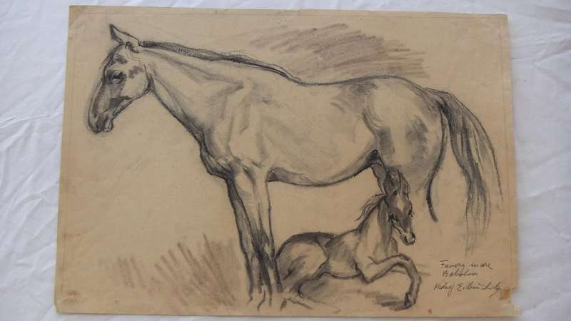 An original pencil sketch by international artist Hedwig Brecher Eibuschitz " horse study "