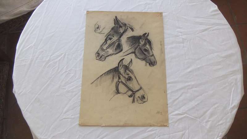 An original pencil sketch by international artist Hedwig Brecher Eibuschitz " horse study "
