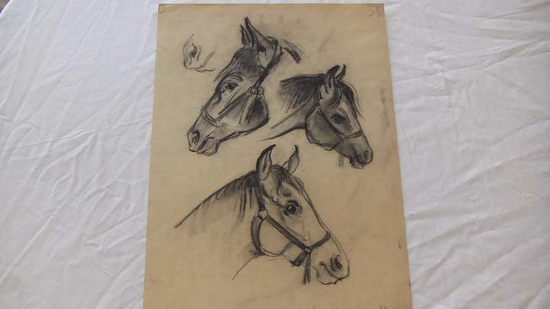 An original pencil sketch by international artist Hedwig Brecher Eibuschitz " horse study "