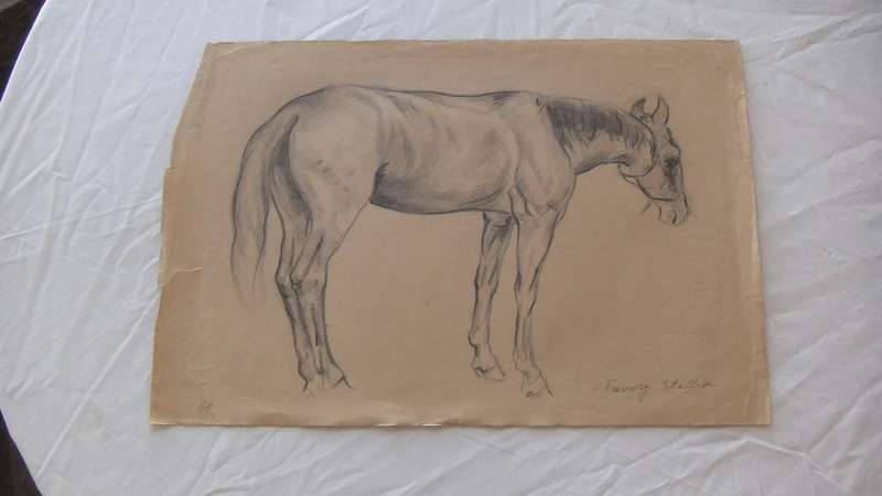 An original pencil sketch by international artist Hedwig Brecher Eibuschitz " horse study "