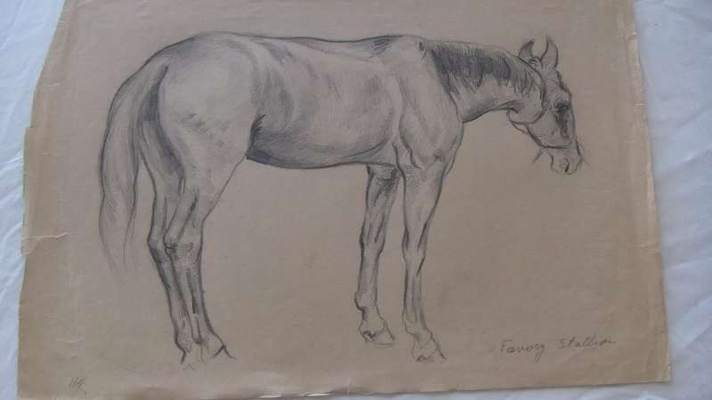 An original pencil sketch by international artist Hedwig Brecher Eibuschitz " horse study "