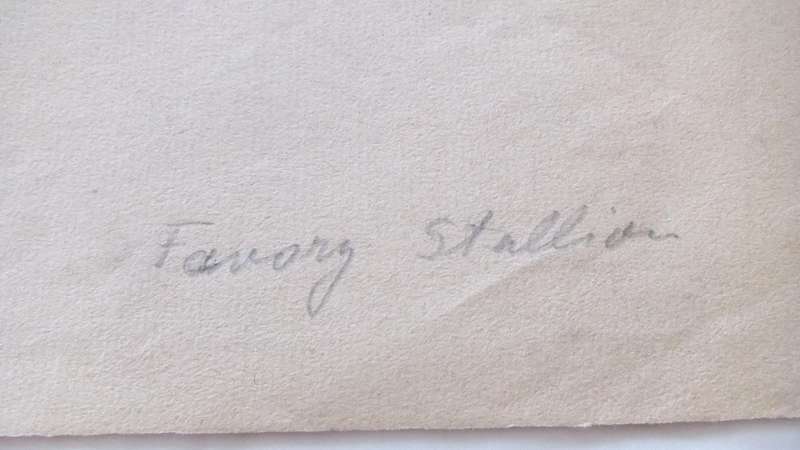 An original pencil sketch by international artist Hedwig Brecher Eibuschitz " horse study "