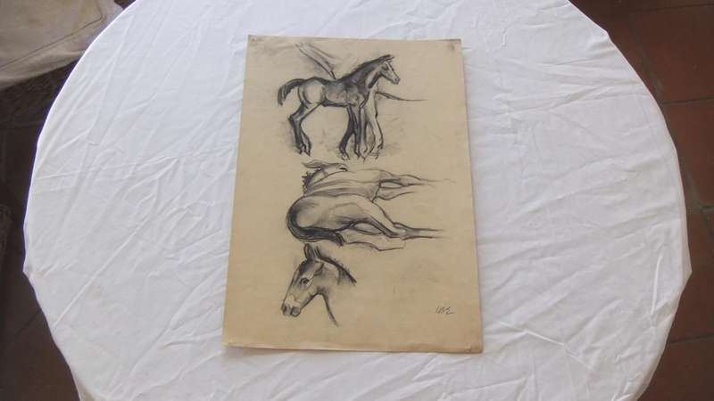 An original pencil sketch by international artist Hedwig Brecher Eibuschitz " horse study "