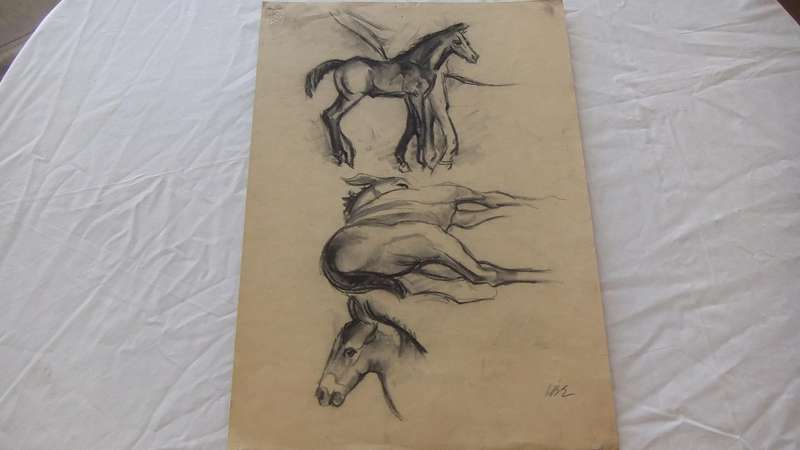 An original pencil sketch by international artist Hedwig Brecher Eibuschitz " horse study "