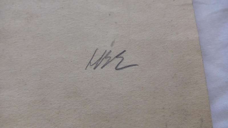An original pencil sketch by international artist Hedwig Brecher Eibuschitz " horse study "
