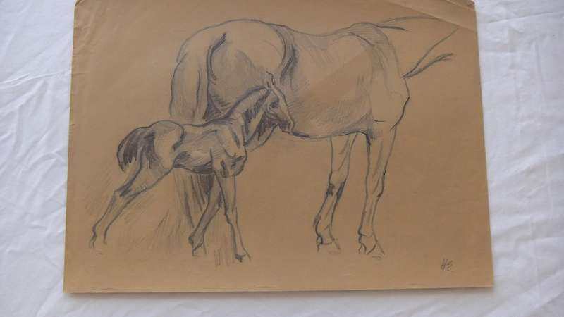 An original pencil sketch by international artist Hedwig Brecher Eibuschitz " horse study "