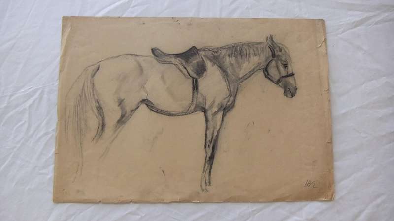 An original pencil sketch by international artist Hedwig Brecher Eibuschitz " horse study "