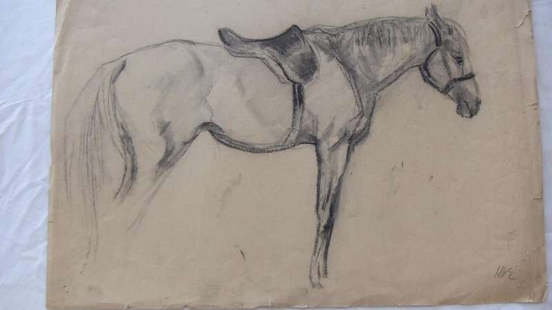 An original pencil sketch by international artist Hedwig Brecher Eibuschitz " horse study "
