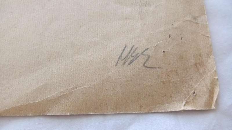 An original pencil sketch by international artist Hedwig Brecher Eibuschitz " horse study "
