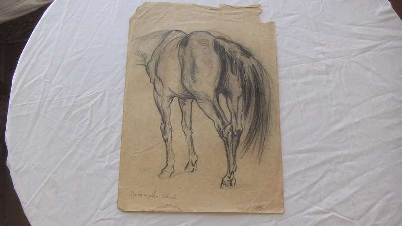 An original pencil sketch by international artist Hedwig Brecher Eibuschitz " horse study "