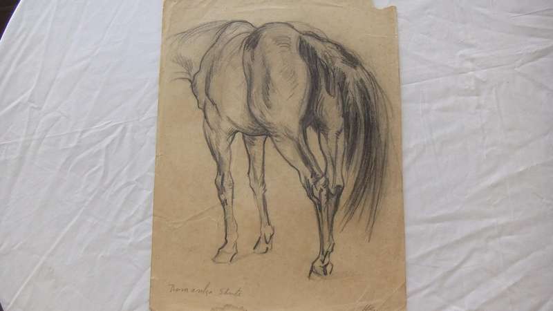 An original pencil sketch by international artist Hedwig Brecher Eibuschitz " horse study "