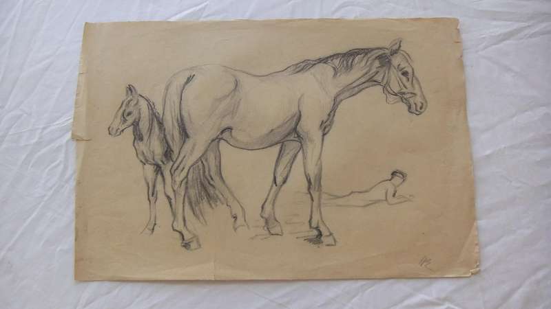 An original pencil sketch by international artist Hedwig Brecher Eibuschitz " horse study "