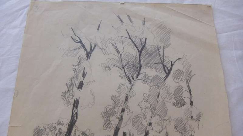 An original pencil sketch by international artist Hedwig Brecher Eibuschitz " landscape study "