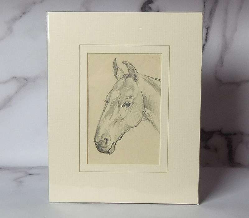 An original pencil sketch by international artist Hedwig Brecher Eibuschitz " horse study "