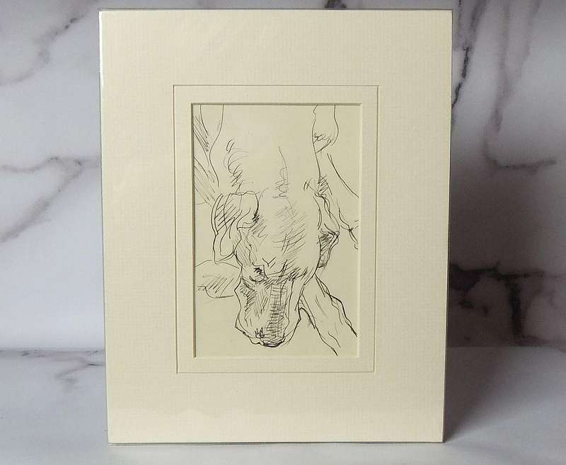 An original pencil sketch by international artist Hedwig Brecher Eibuschitz " dog study "
