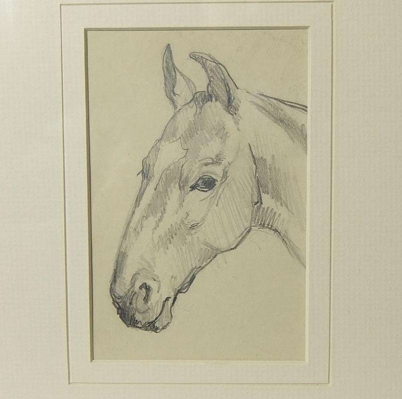 An original pencil sketch by international artist Hedwig Brecher Eibuschitz " horse study "