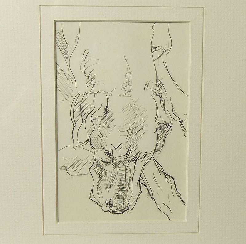 An original pencil sketch by international artist Hedwig Brecher Eibuschitz " dog study "