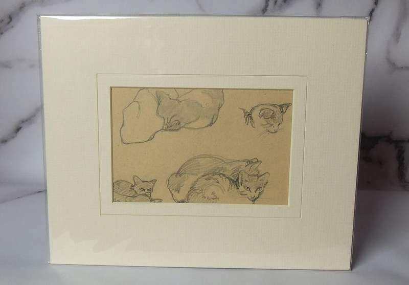 An original pencil sketch by international artist Hedwig Brecher Eibuschitz " cat study "