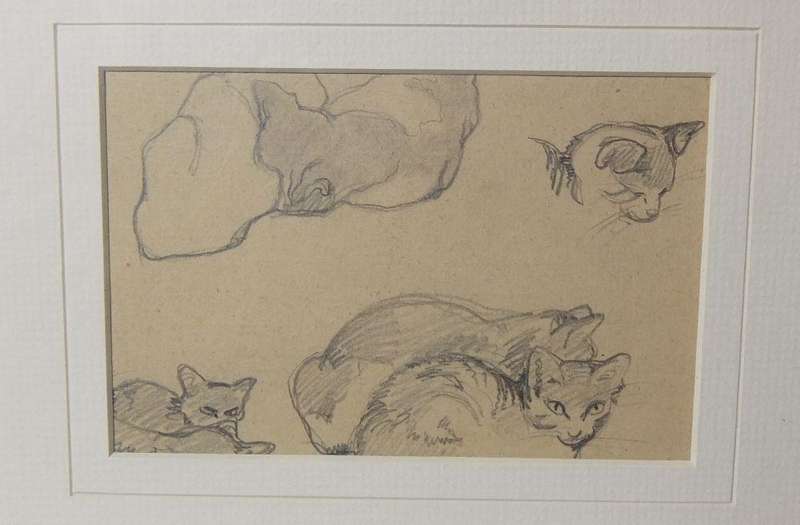 An original pencil sketch by international artist Hedwig Brecher Eibuschitz " cat study "